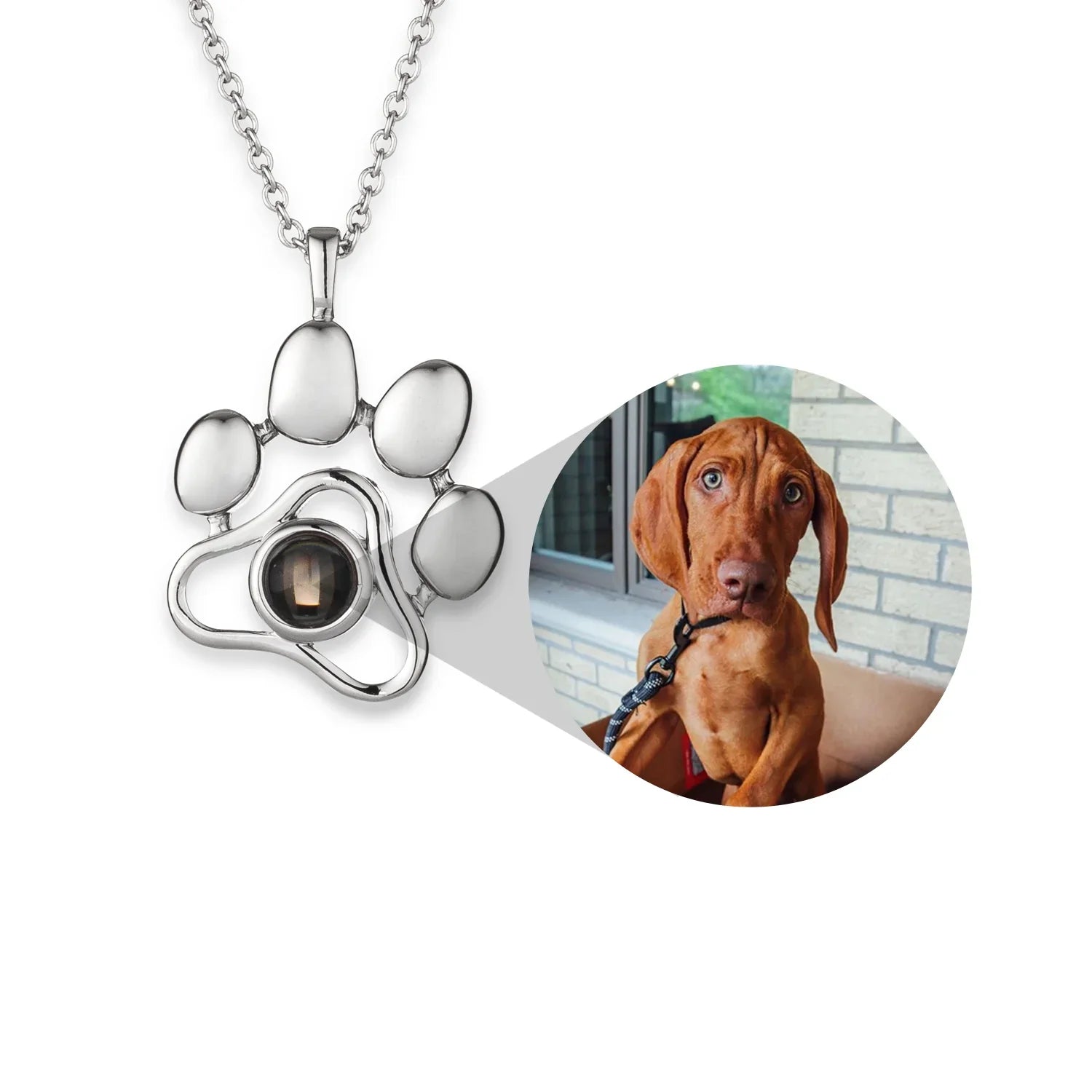 Pet Photo Jewelry